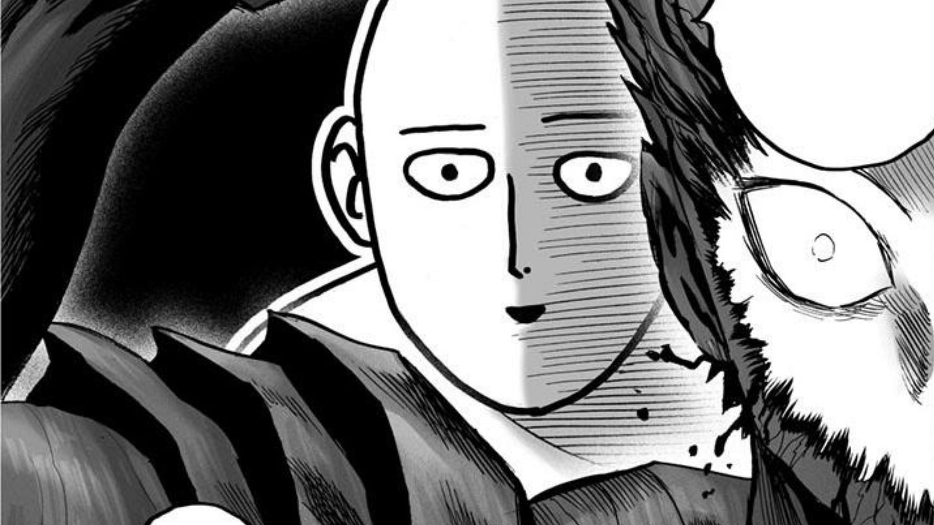 Saitama and Garou as seen in the One Punch Man manga (Image via Shueisha)